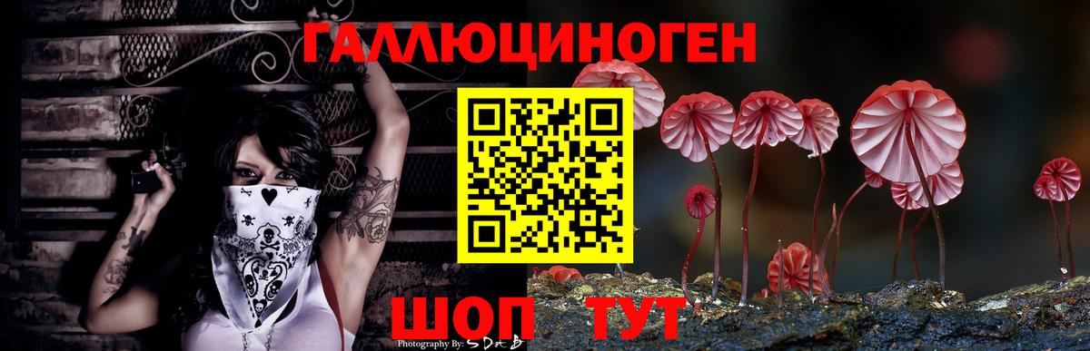 Тара  Псилоцибиновые грибы мухоморы  Вход с VPN 